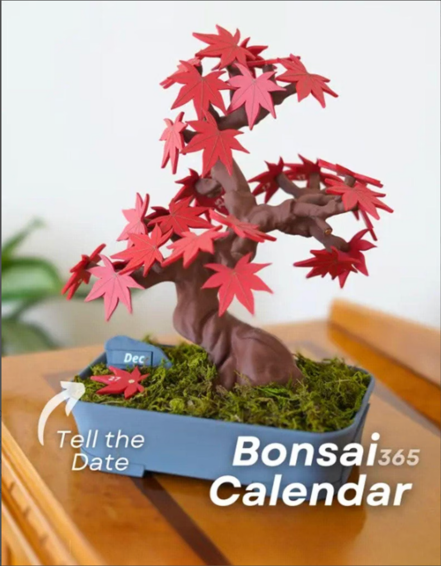 Bonsai Calendar