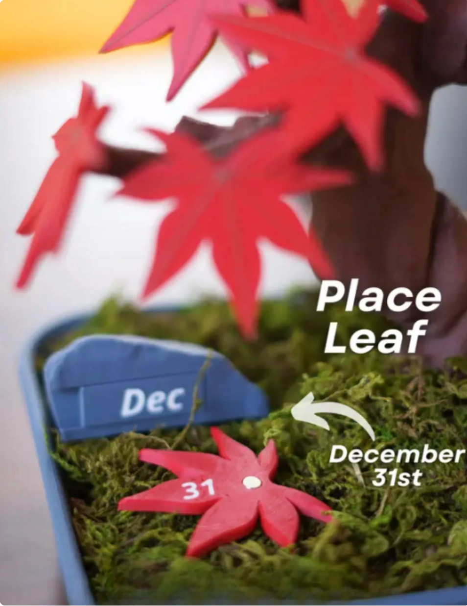 Bonsai Calendar
