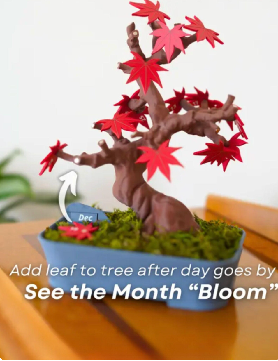 Bonsai Calendar