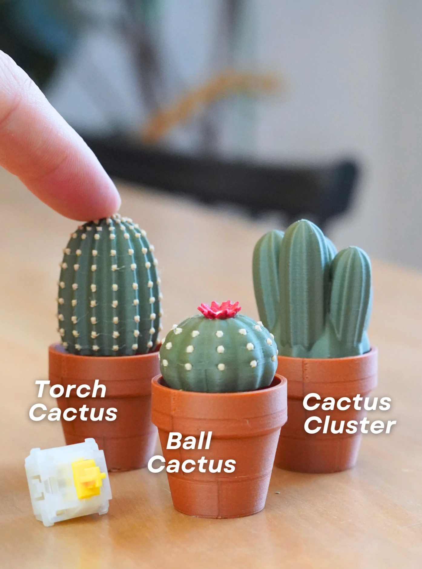 Clicky Cacti Clicking Fidgets