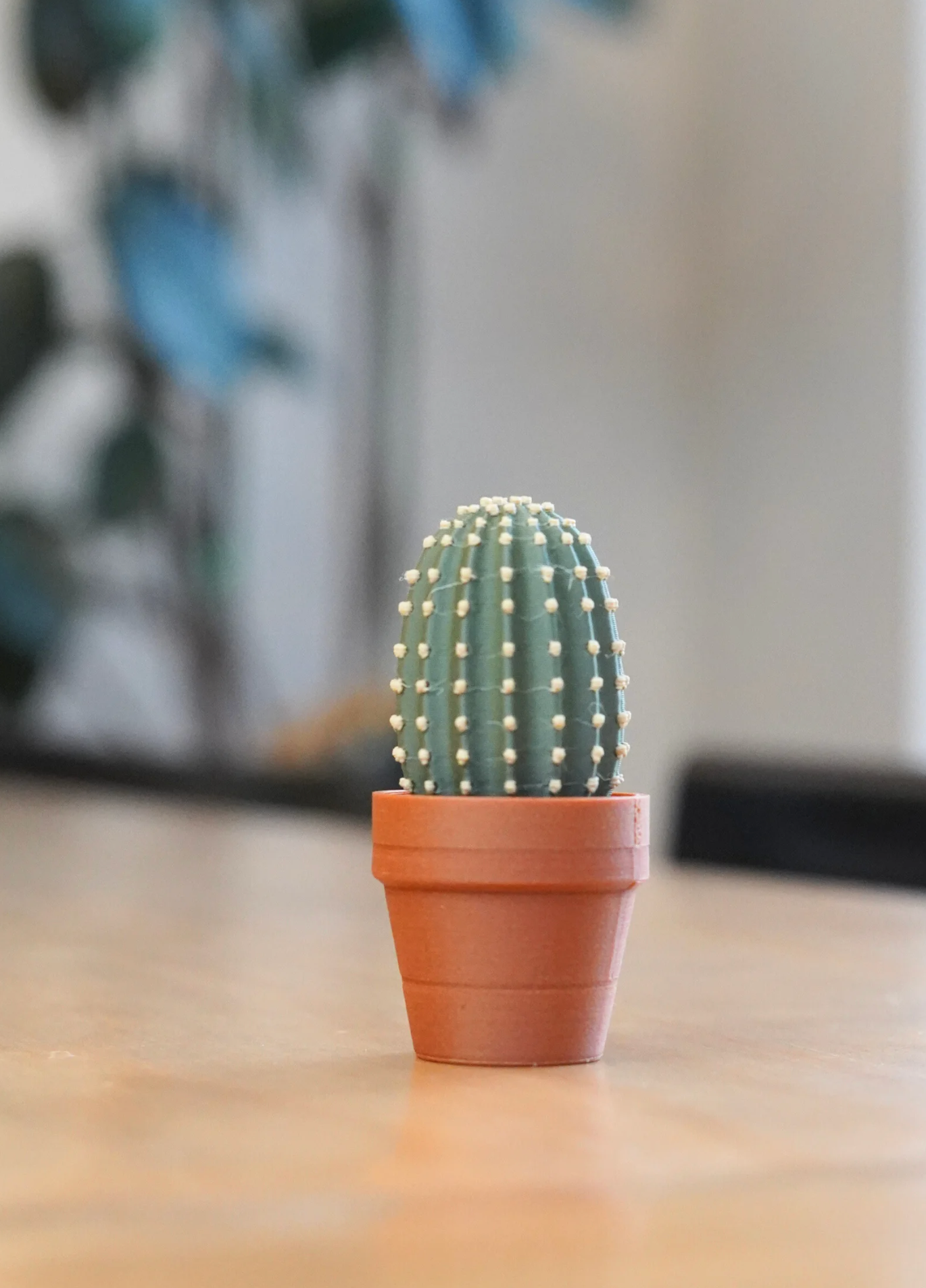Clicky Cacti Clicking Fidgets
