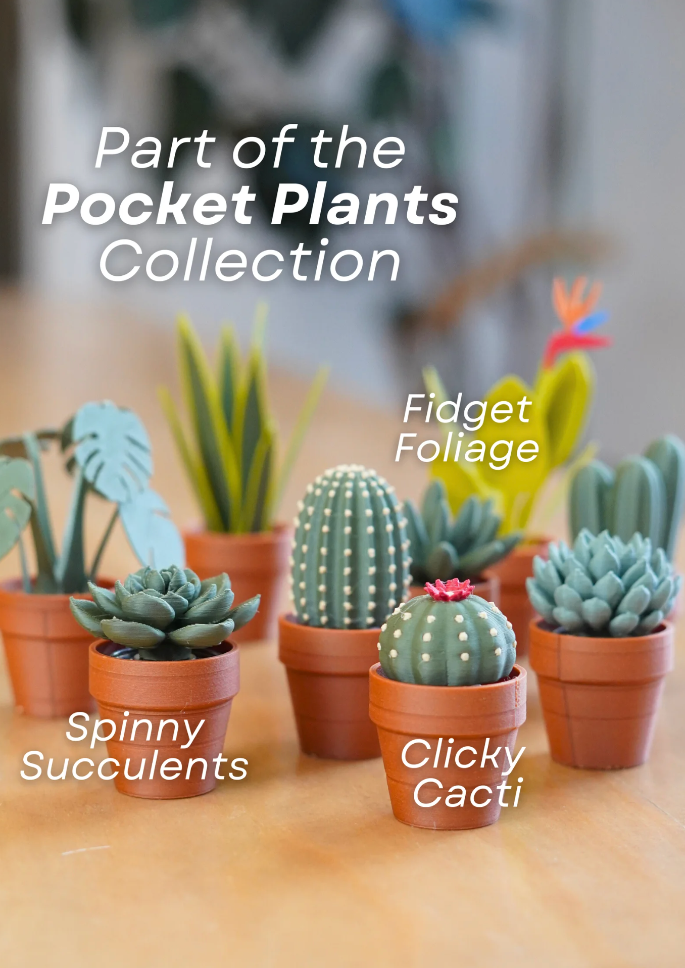 Clicky Cacti Clicking Fidgets
