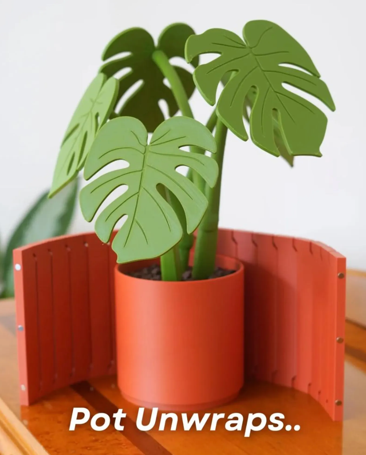 Monstera Coasters