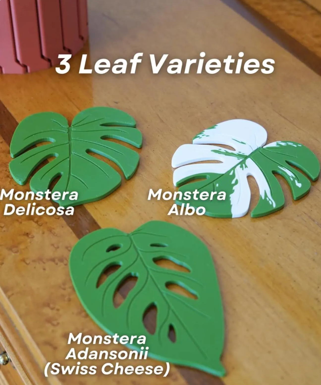 Monstera Coasters