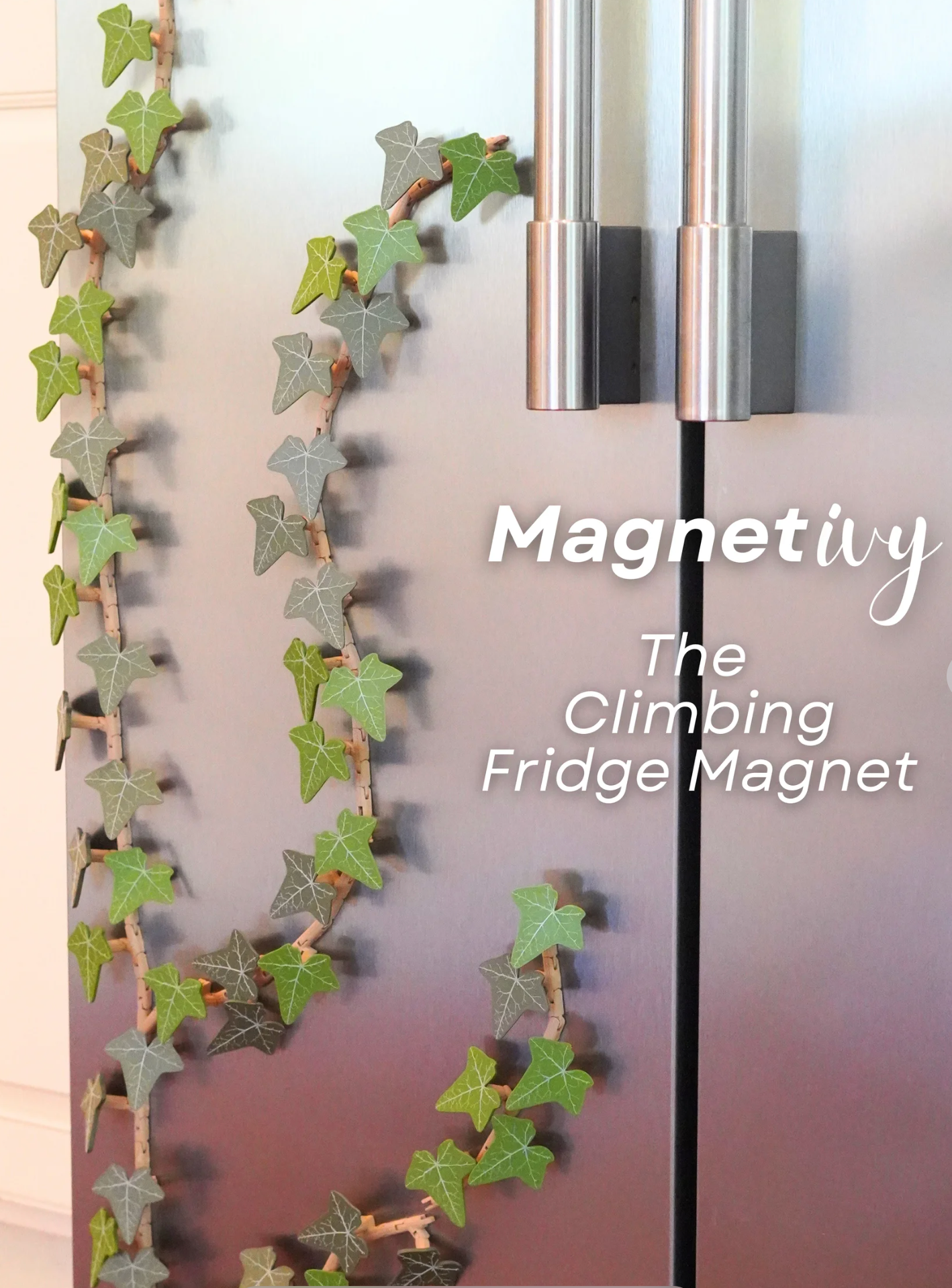 English Ivy Fridge Magnet