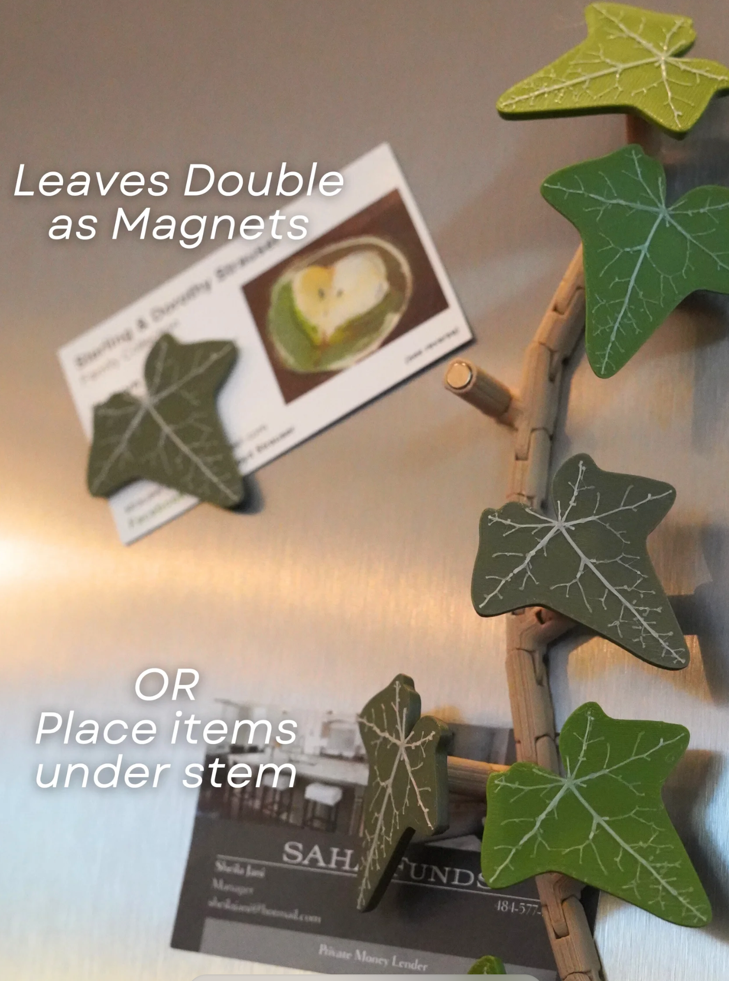 English Ivy Fridge Magnet