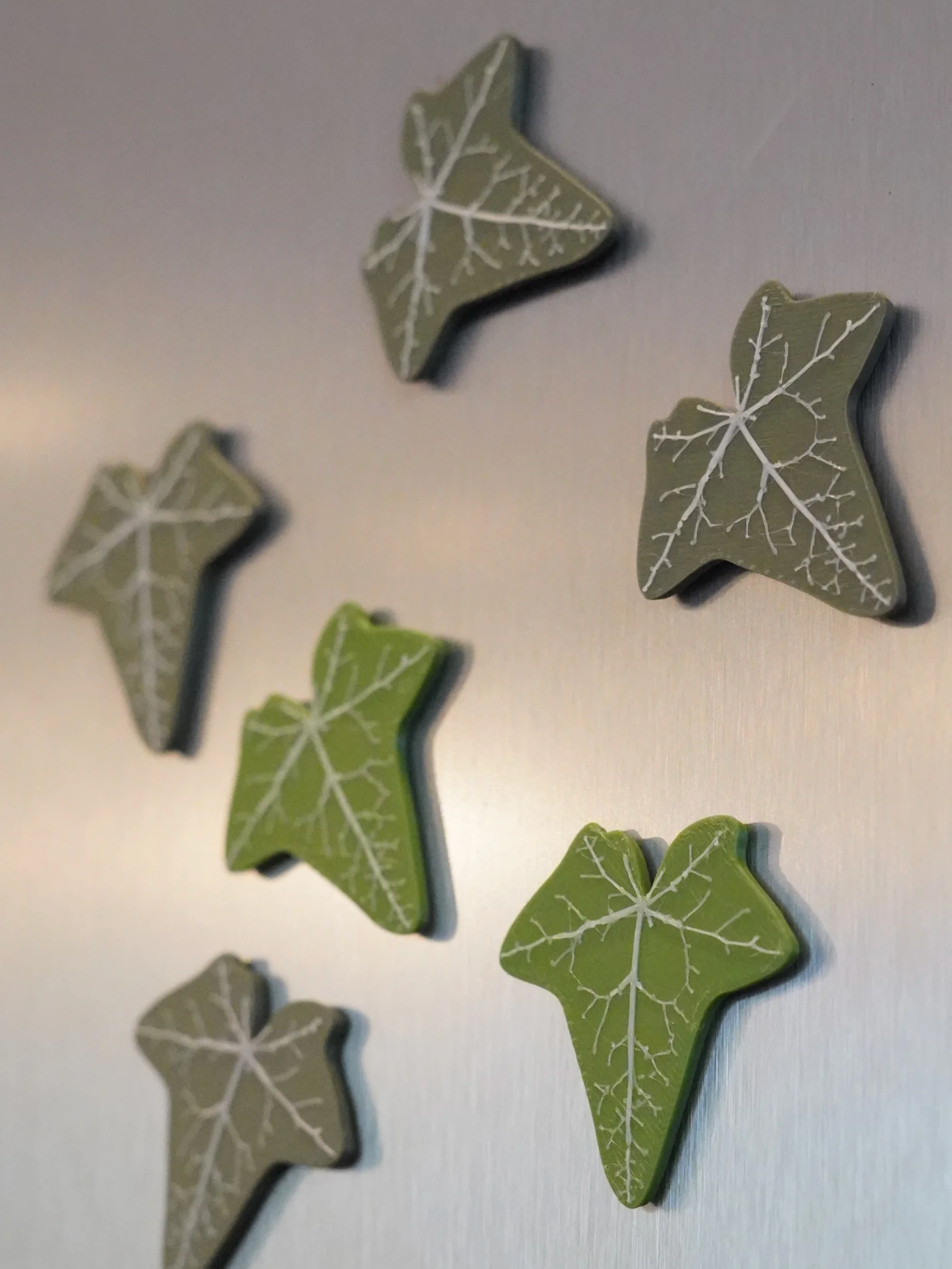 English Ivy Fridge Magnet