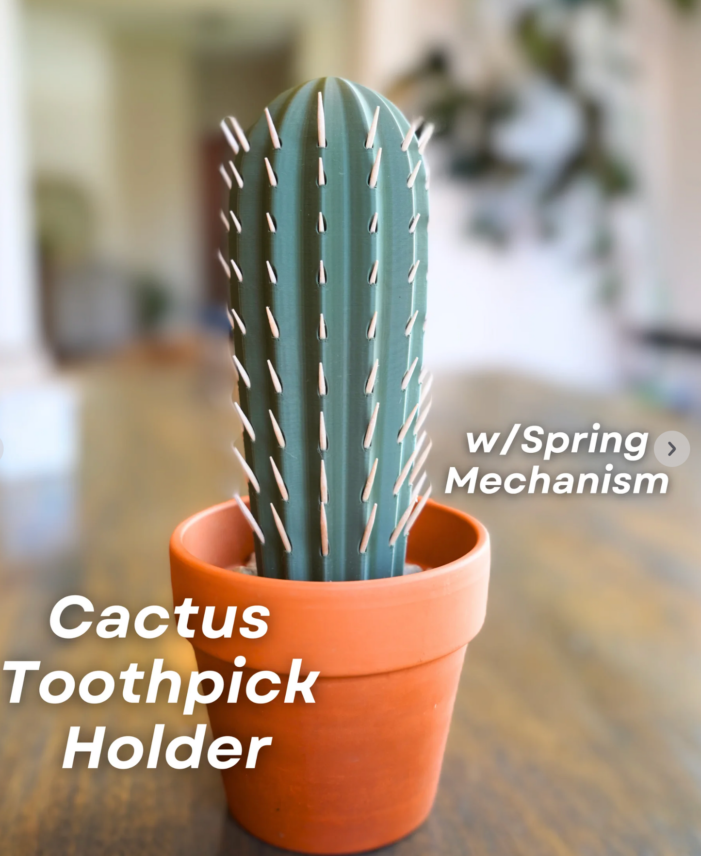 Cactus Toothpick Holder