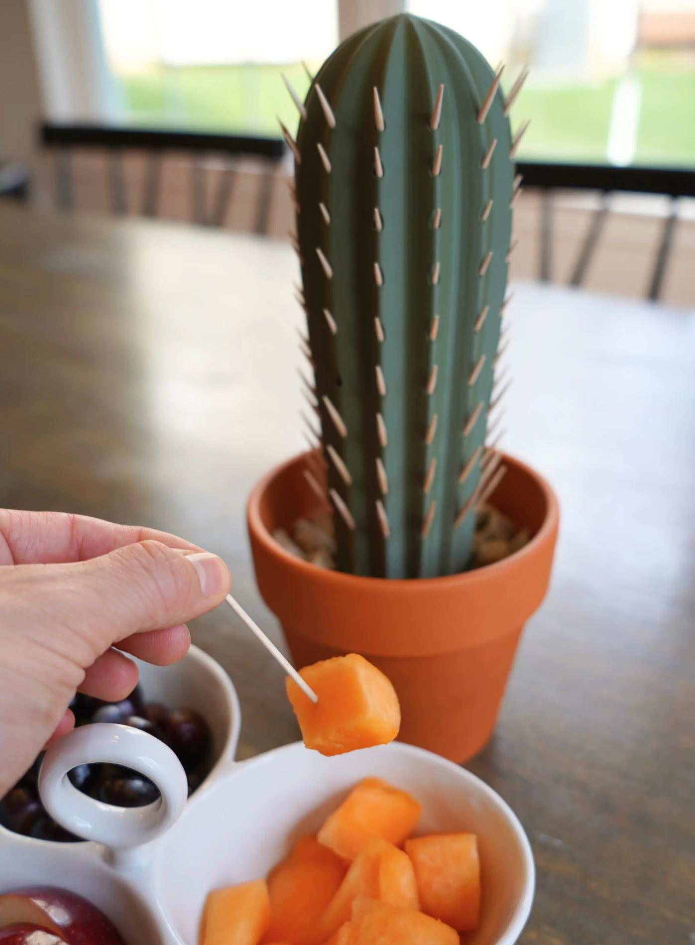 Cactus Toothpick Holder