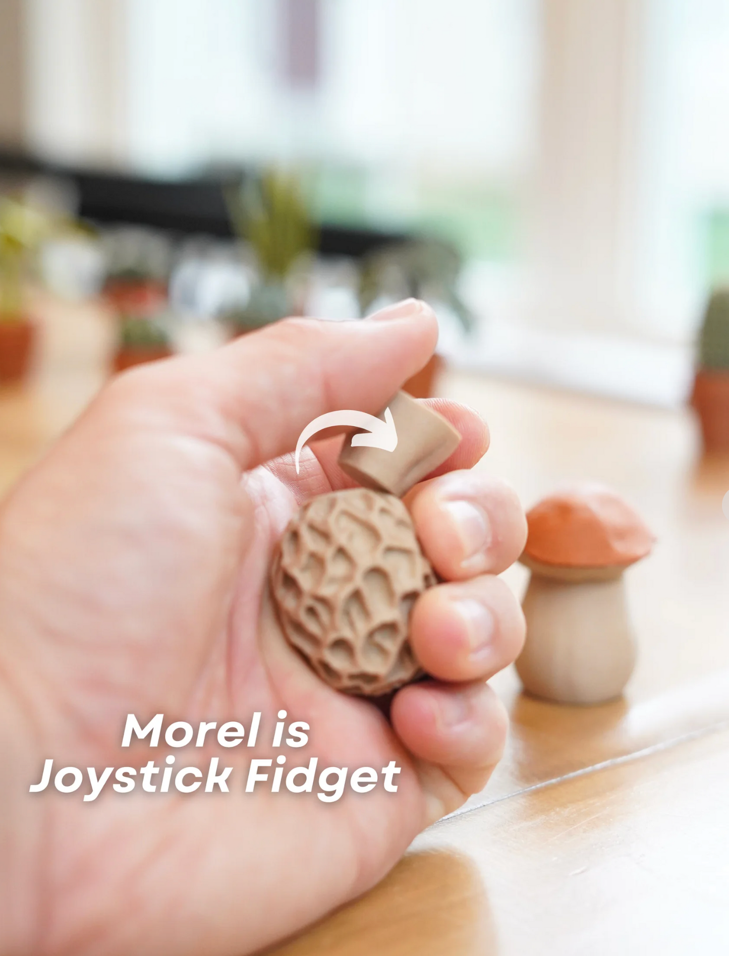 Mushroom Magnets