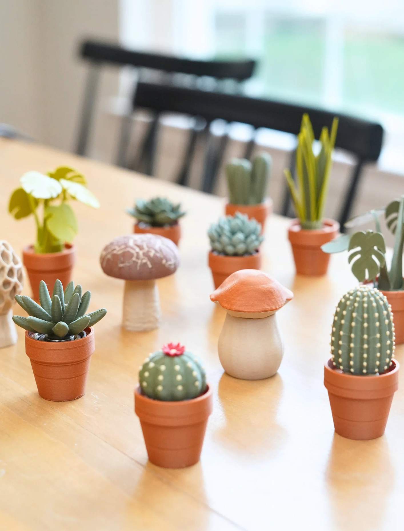 Clicky Cacti Clicking Fidgets