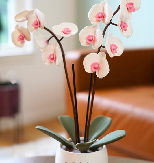 Orchid