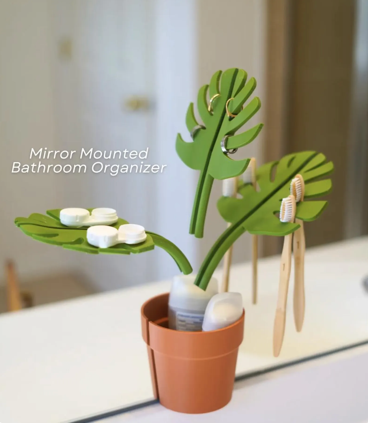 Mirror Monstera