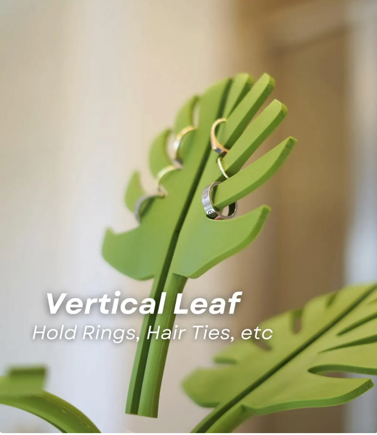 Mirror Monstera