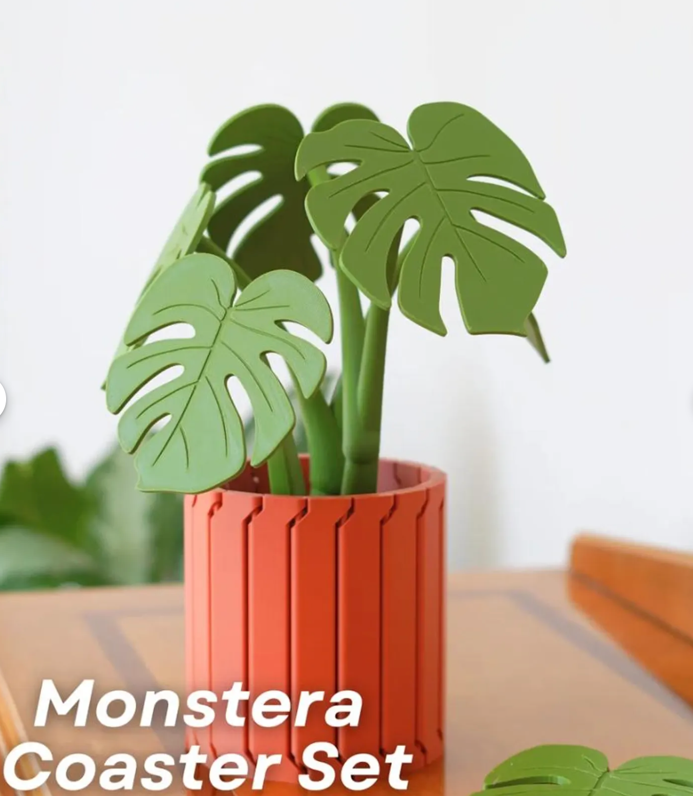 Monstera Coasters