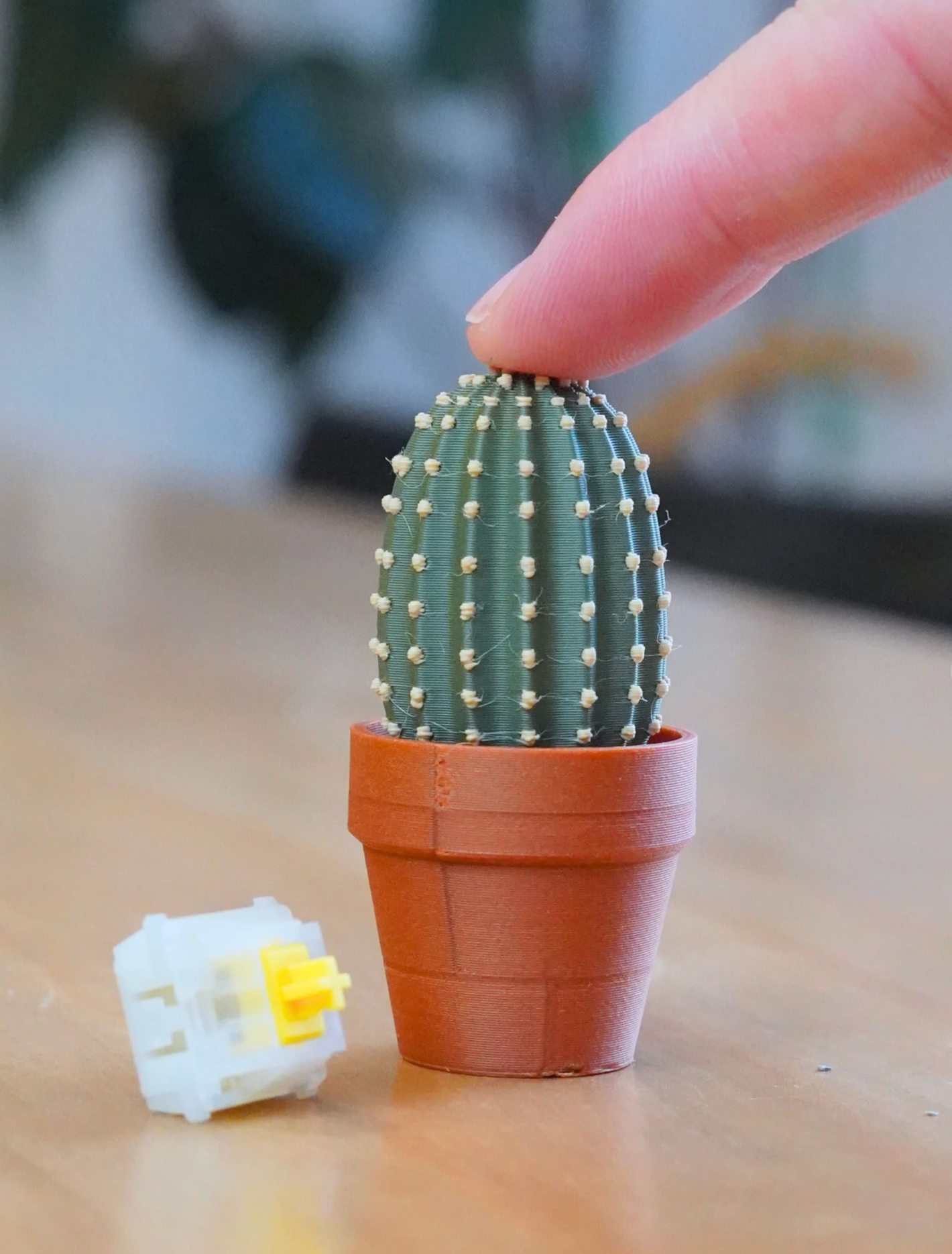Clicky Cacti Clicking Fidgets