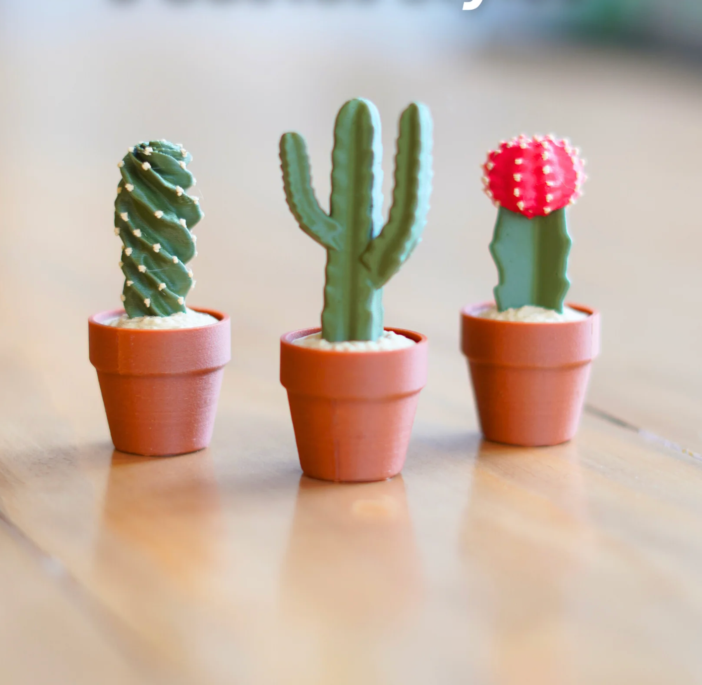 Clicky Cacti Clicking Fidgets