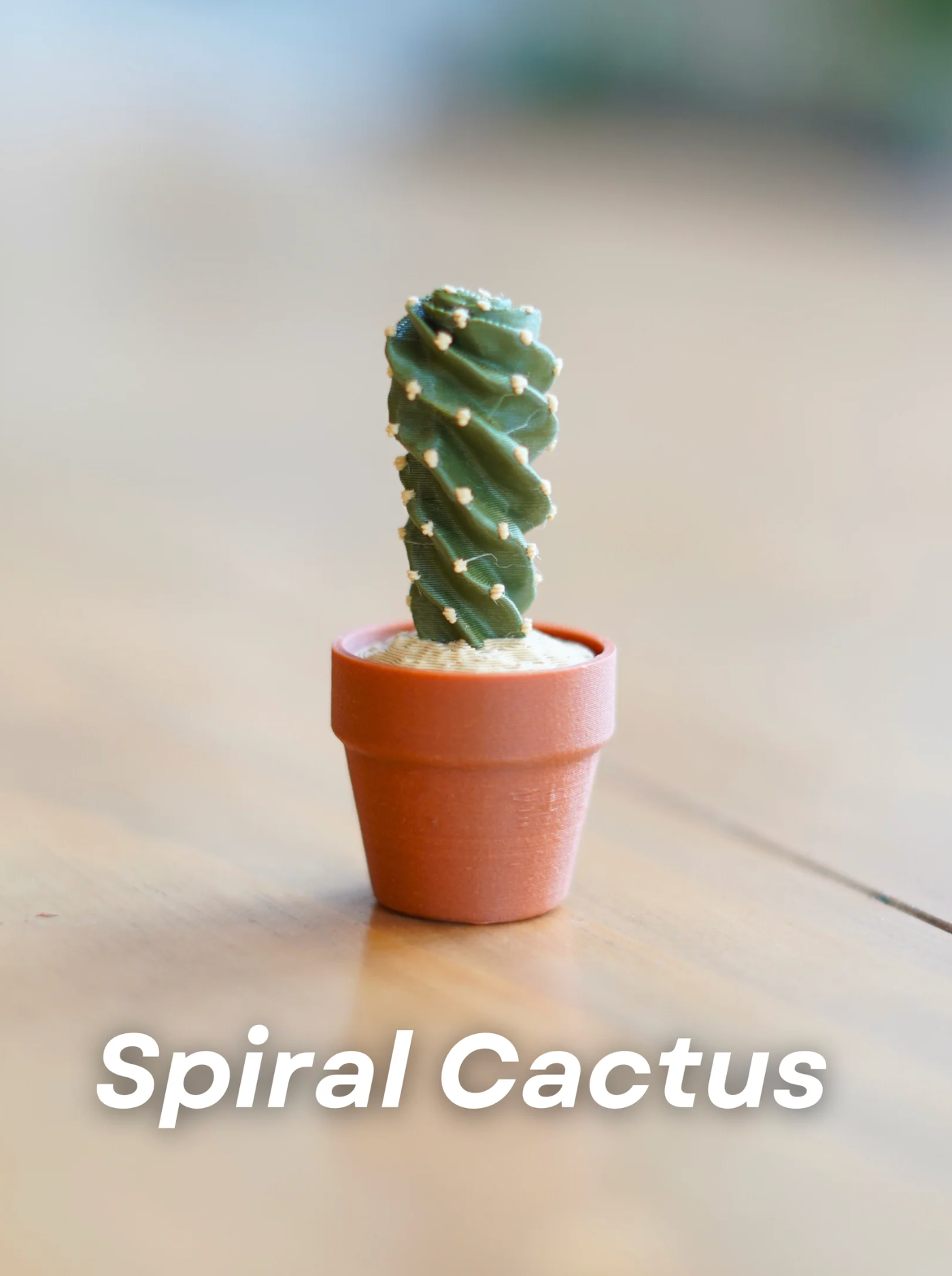 Clicky Cacti Clicking Fidgets