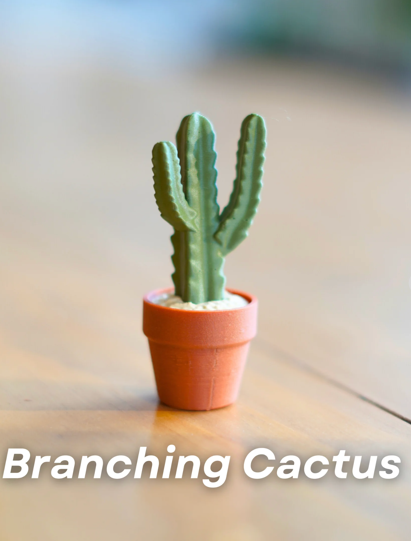 Clicky Cacti Clicking Fidgets