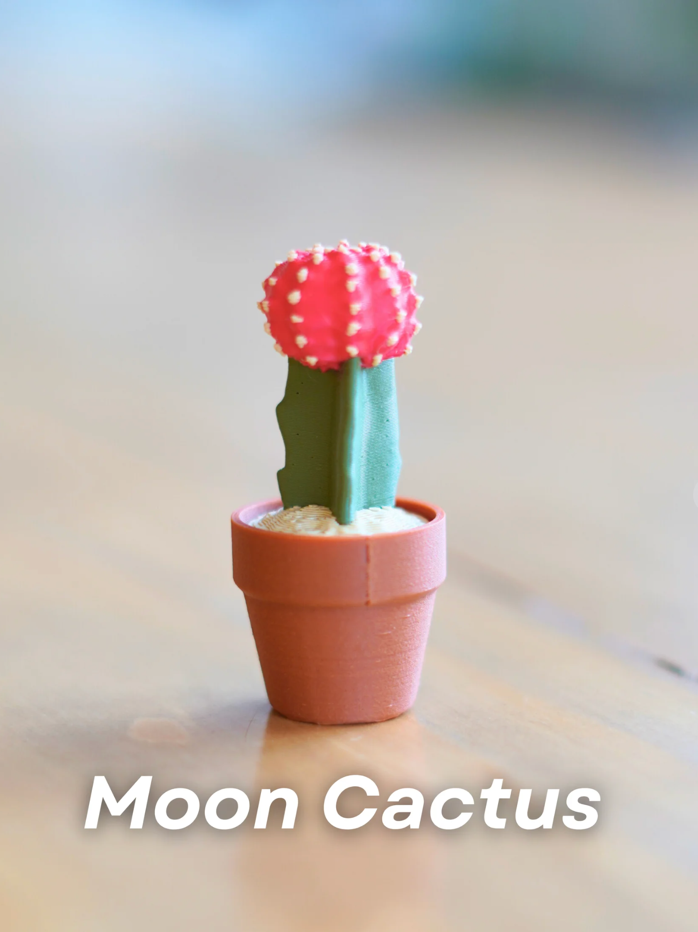 Clicky Cacti Clicking Fidgets