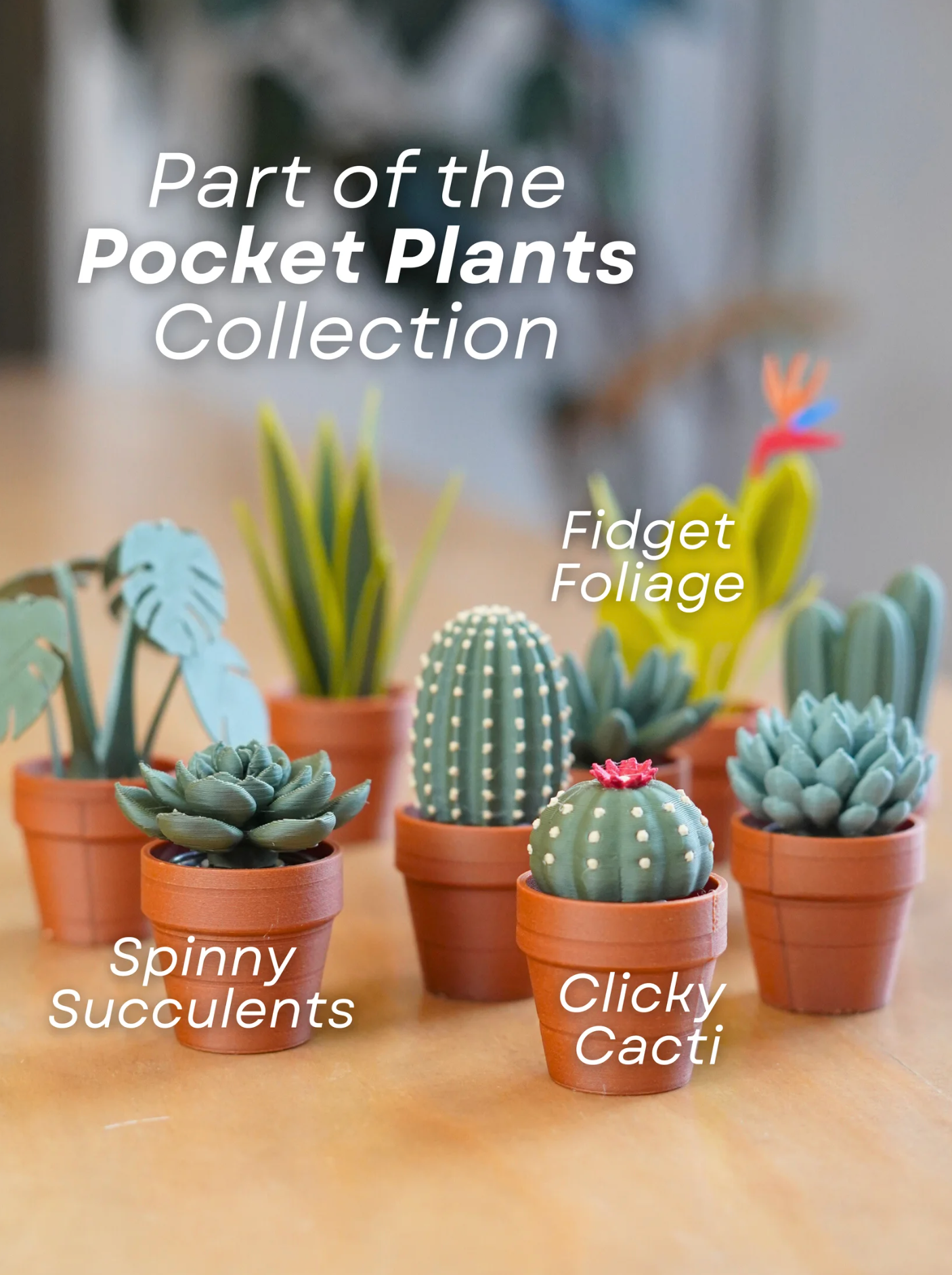 Spinny Succulents