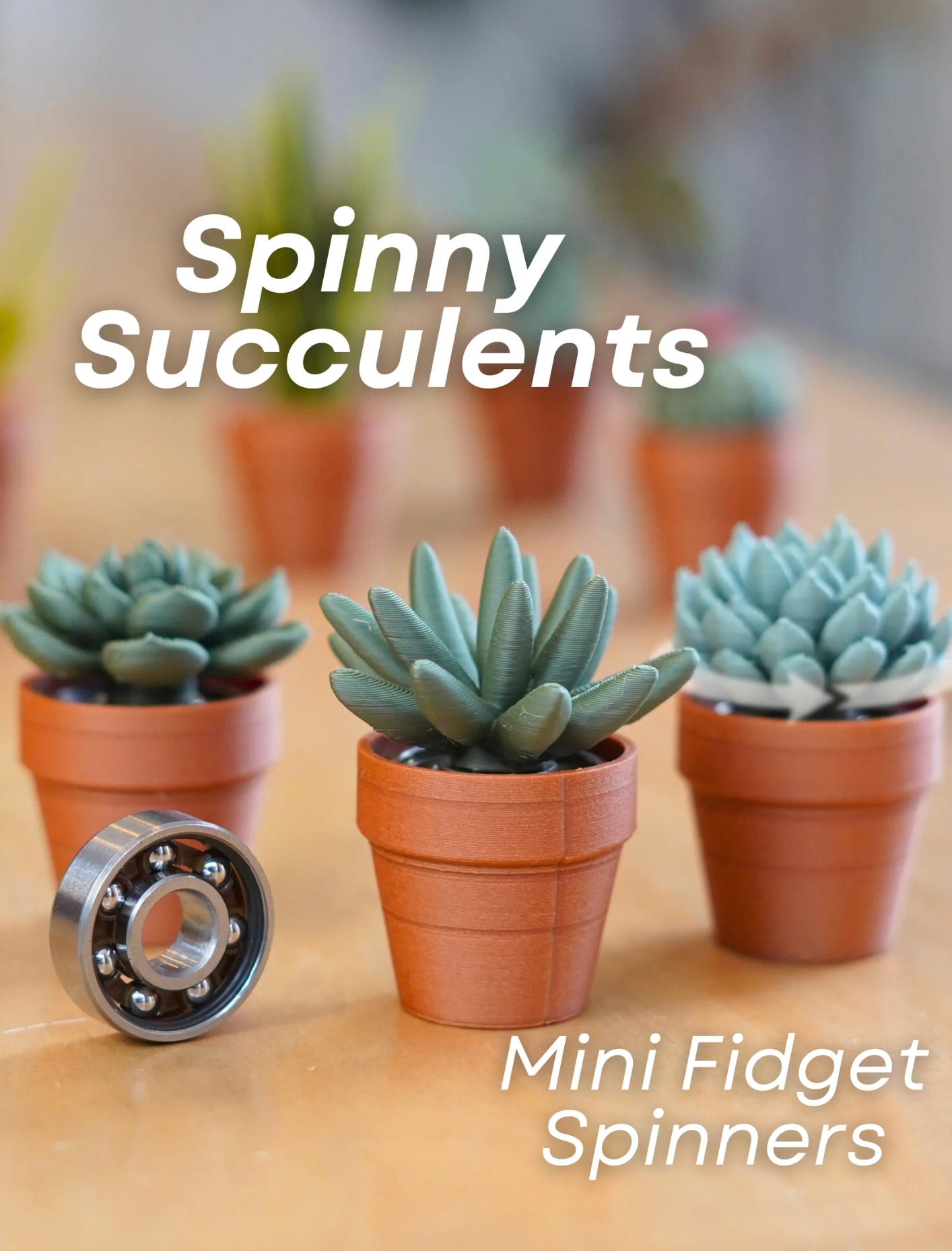 Spinny Succulents