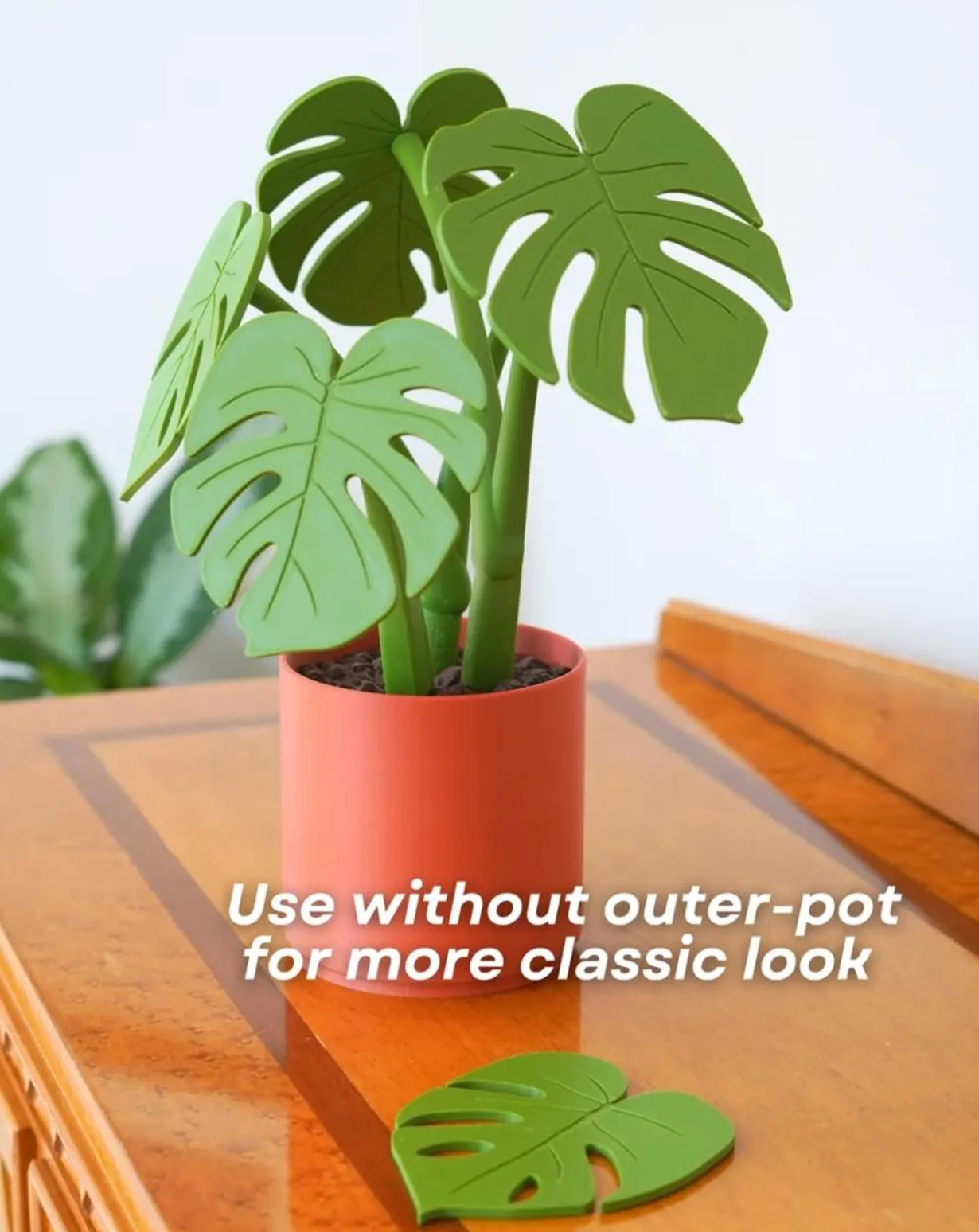 Monstera Coasters