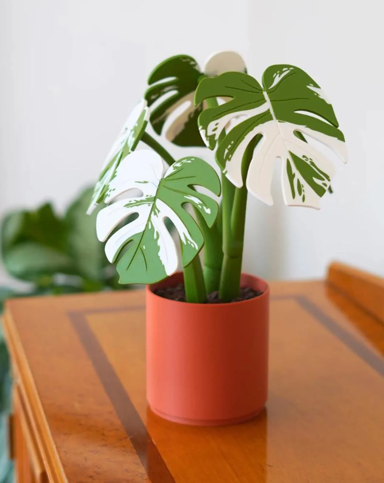 Monstera Coasters