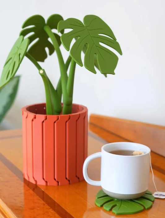 Monstera Coasters