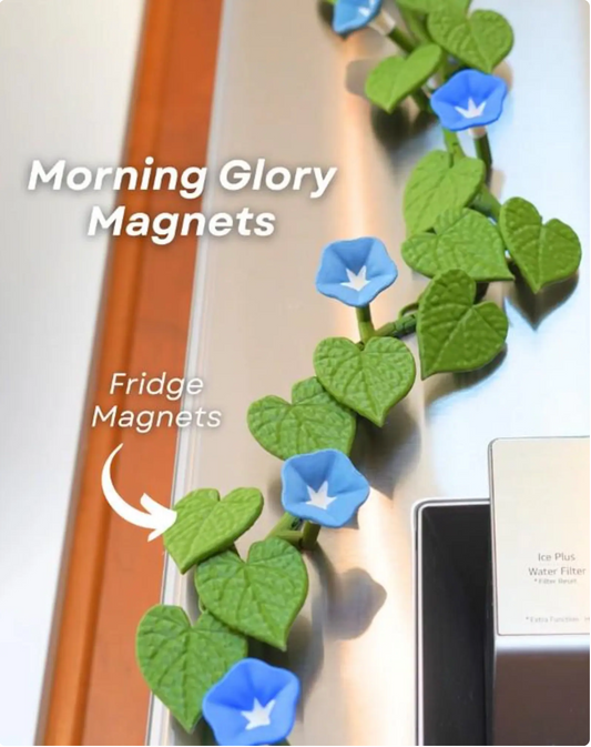 Morning Glory Magnets