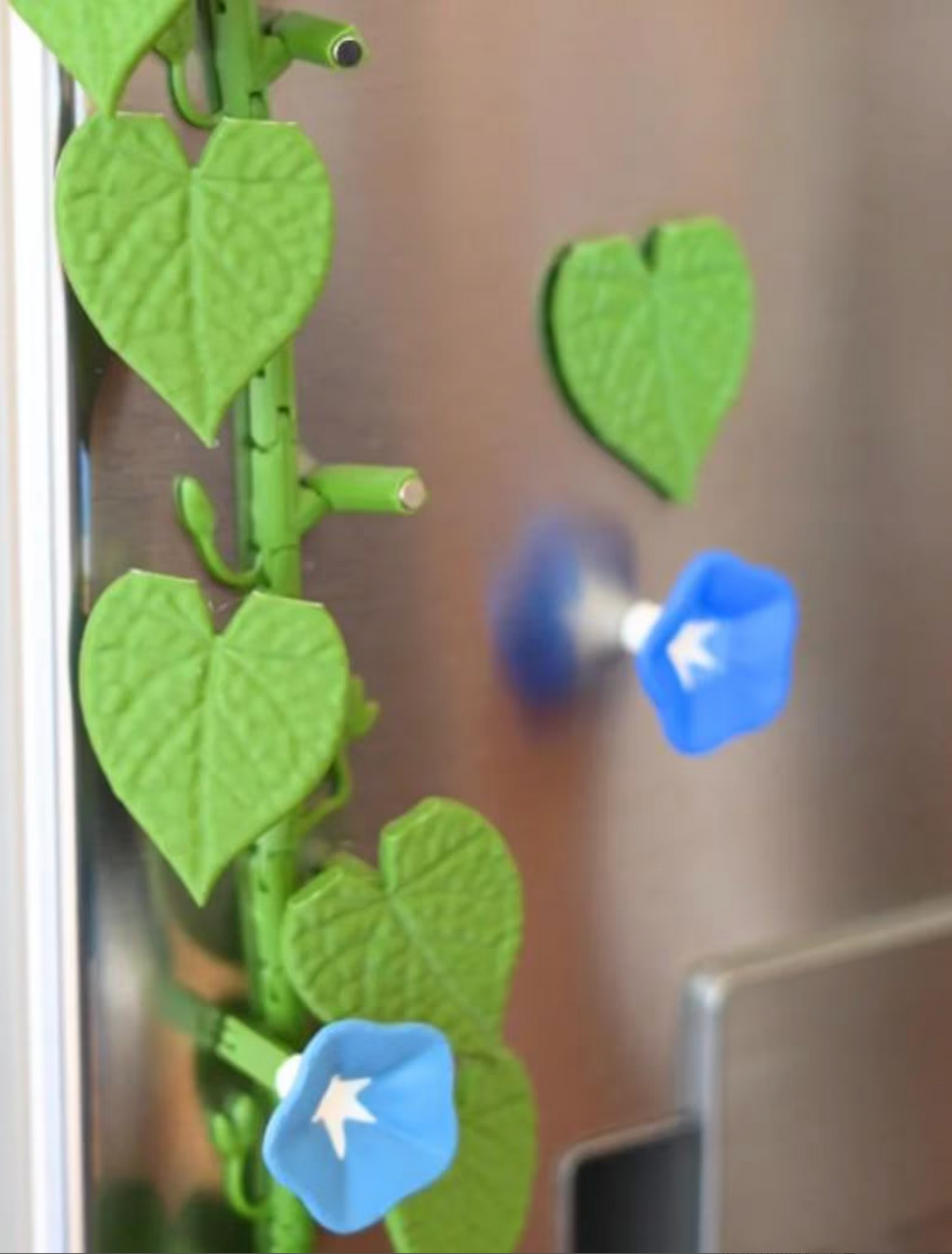 Morning Glory Magnets