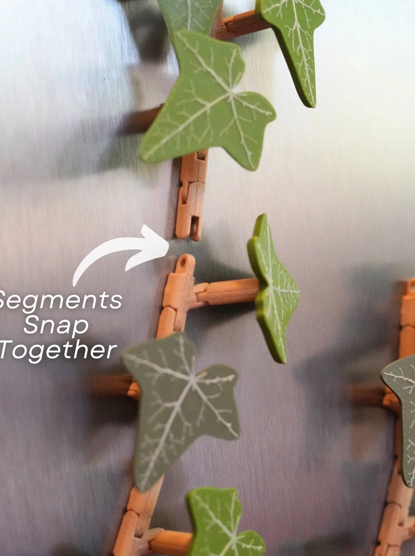 English Ivy Fridge Magnet