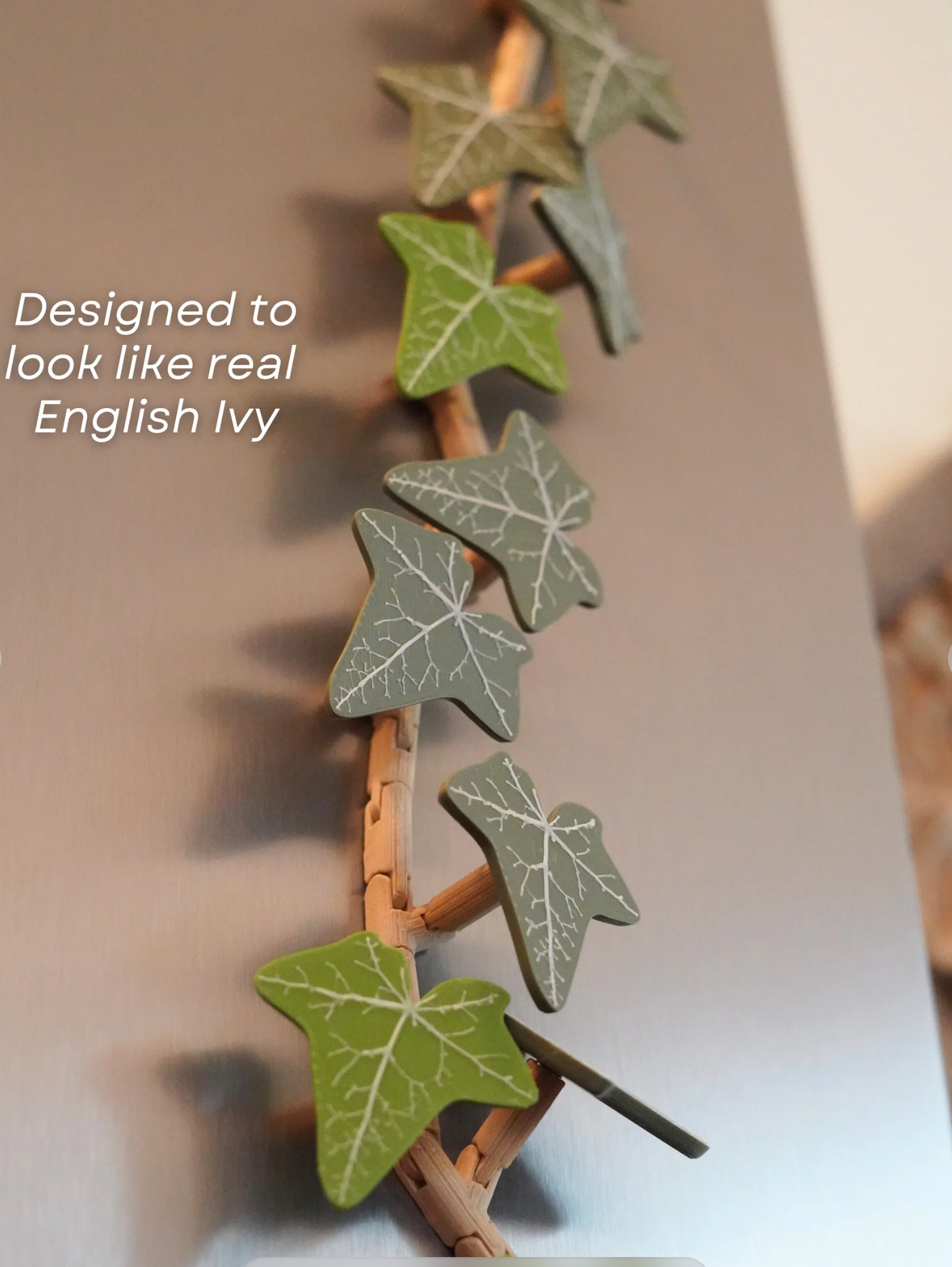 English Ivy Fridge Magnet