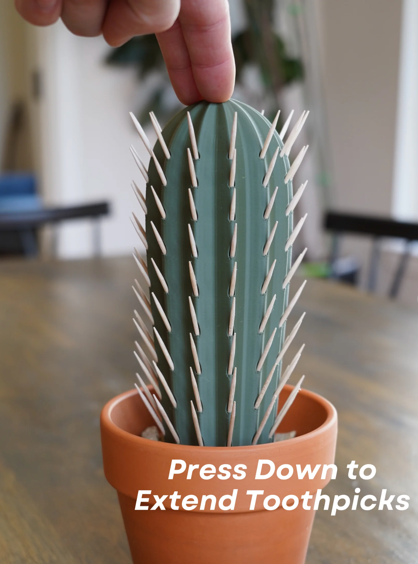 Cactus Toothpick Holder