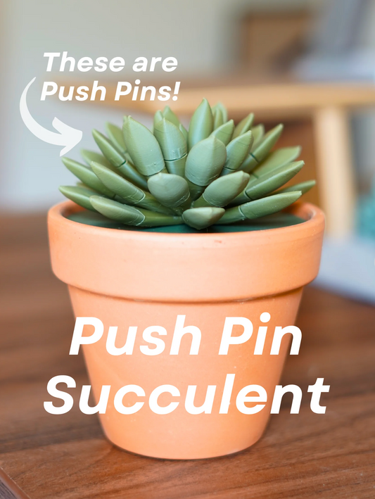 Push Pin Succulent