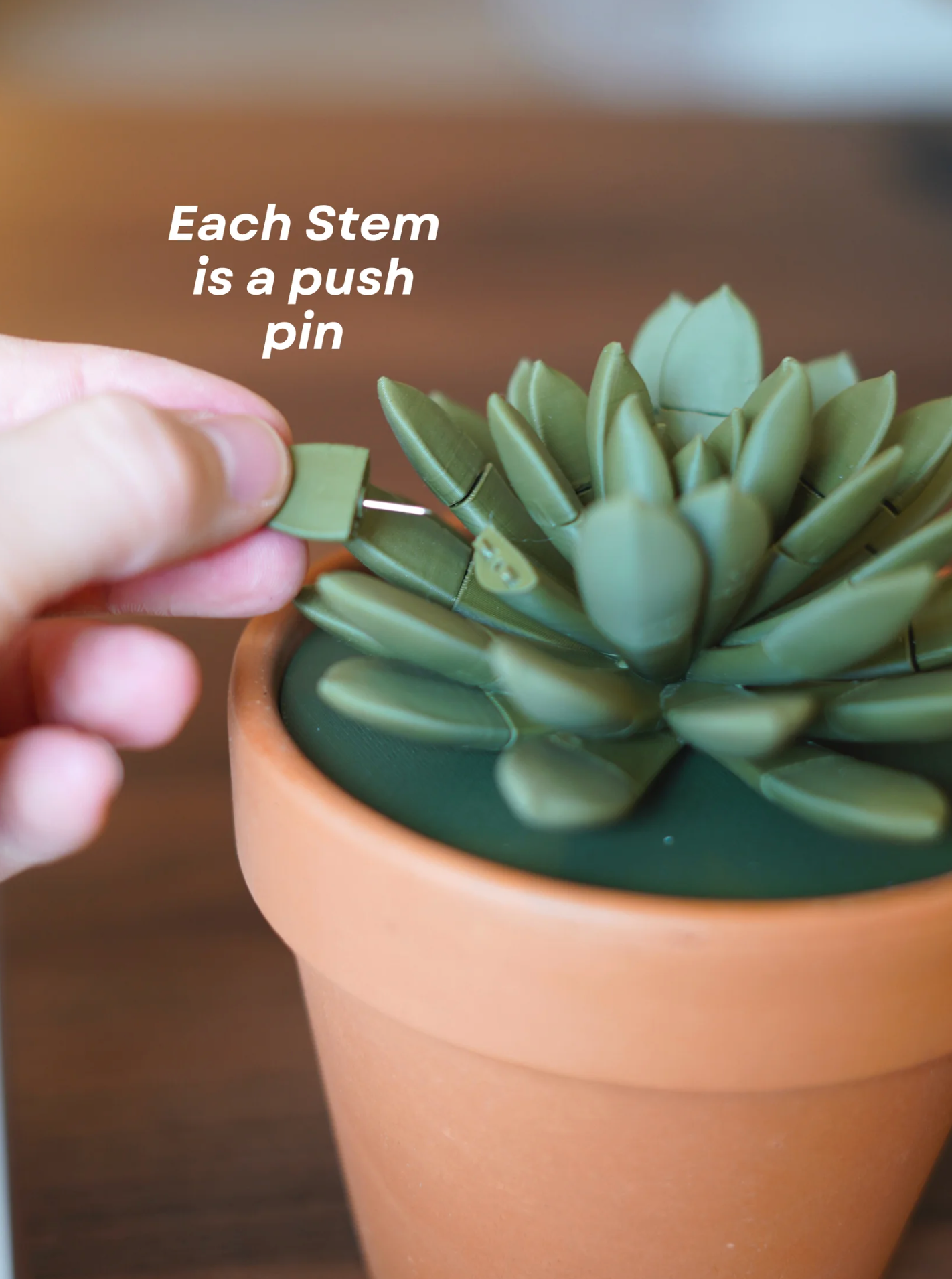 Push Pin Succulent
