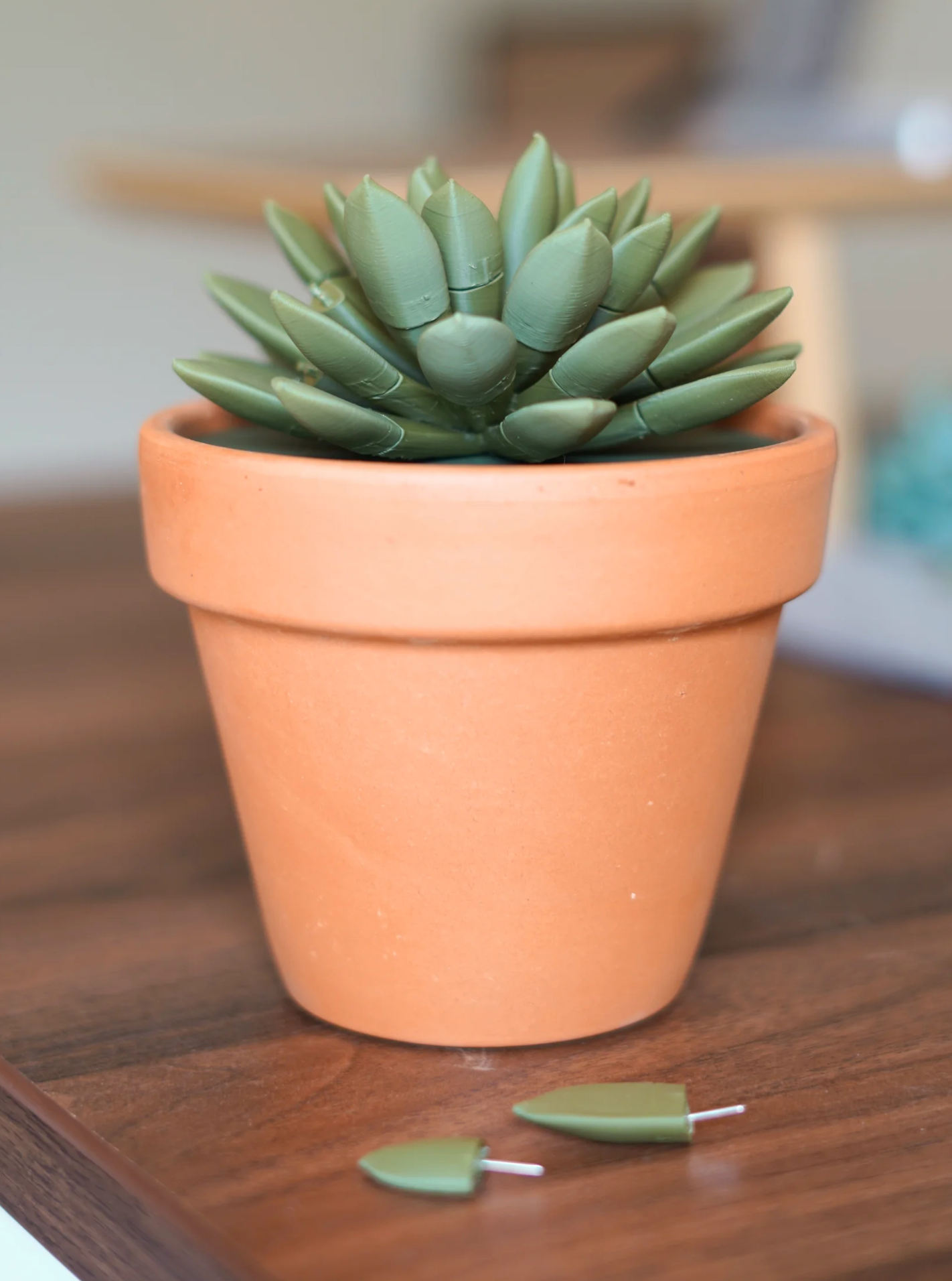 Push Pin Succulent